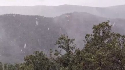 La neu enfarina l'Albera i es deixa veure a les Gavarres