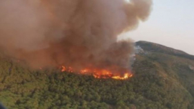 Onze incendis, dels quals cinc intencionats i dos en procés d'investigació