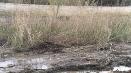 Platja d'Aro inverteix 82.000 euros per netejar la llera del Ridaura