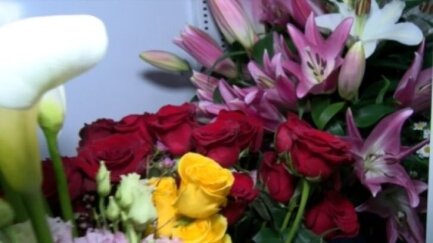 'Sant Jordi és el dia més esperat per les floristeries'